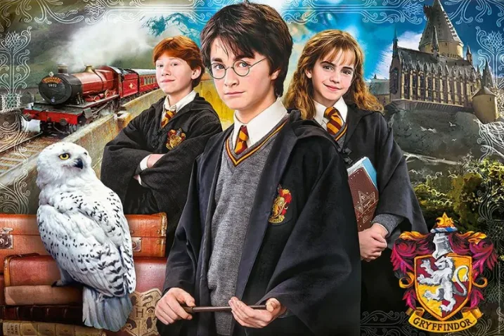 Harry Potter a Tajemná Komnata – jedlý papír na hranatý dort – jedlý obrázek na dort