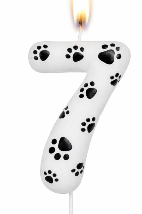 Dortová svíčka s tlapičkami číslo 7, výška 6 cm