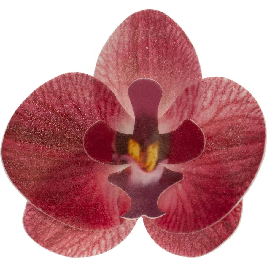 Květy z jedlého papíru orchidej růžová 10 ks – Dekora