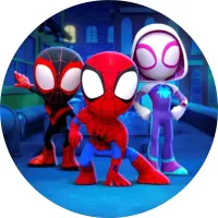 Spiderman – Spidey a přátelé v noci – jedlý obrázek na dort