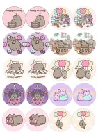 Pusheen – 20 koleček – jedlý obrázek na dort