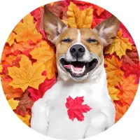 Pejsek – veselý Jack Russell v podzimním listí – jedlý obrázek na dort