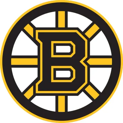 Boston Bruins – jedlý obrázek na dort