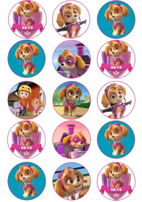 Tlapková patrola – Paw patrol – 15 koleček se Skye – jedlý papír na cupcakes