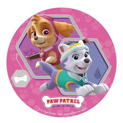 Paw Patrol aneb Tlapková patrola – Skye a Everest v šestiúhelníku – jedlý obrázek na dort