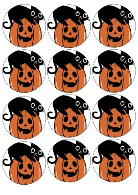 Halloween – černá kočka na dýni – jedlý papír na hranatý dort