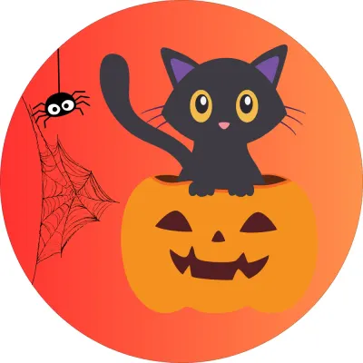 Halloween – černá kočka v dýni s pavoukem – jedlý obrázek na dort